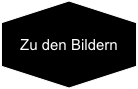 Zu den Bildern
